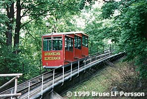 Car no 1