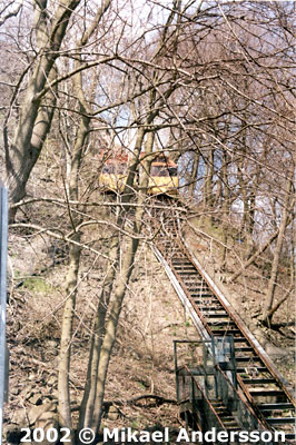 Maid Of The Mist Incline