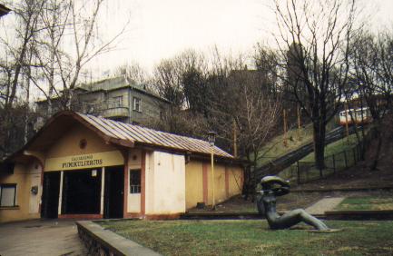 Zaliakalnis